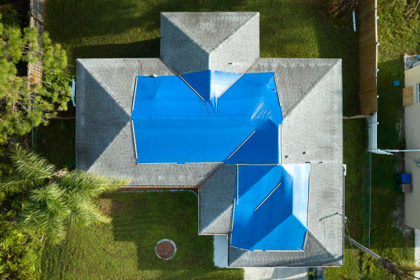 Best Roof Moss and Algae Removal  in Honeyville, UT